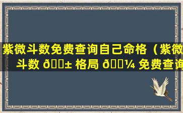 紫微斗数免费查询自己命格（紫微斗数 🐱 格局 🐼 免费查询）